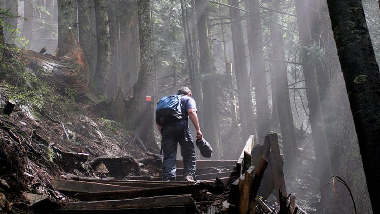 Hiking in BC's forests
