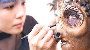 VFS makeup programs