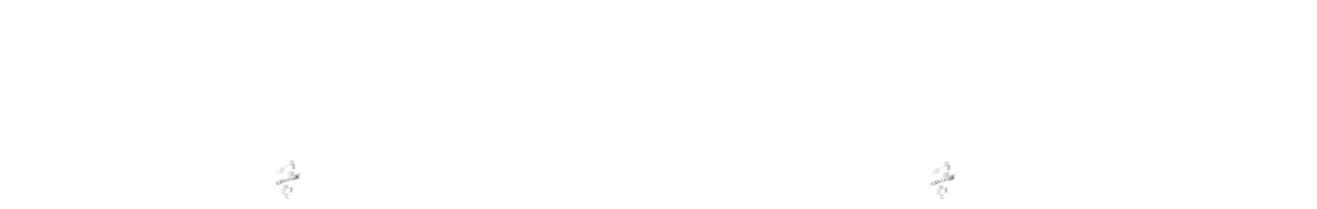 VFS careers
