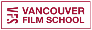VFS logo